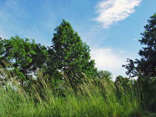 41692 (a): :1600x1200